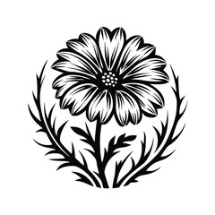 Silhouette Flower Daisy Blossom with Stem, Leaves, and Circular Thorns on White BG