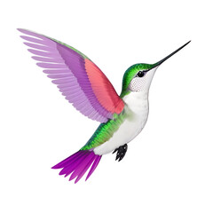 Obraz premium beautiful birds