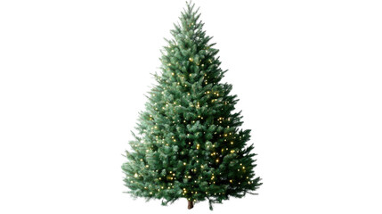 christmas tree isolated on white background 