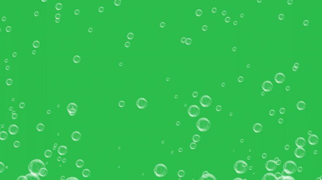 Raising bubbles on green screen background motion graphic effects. 