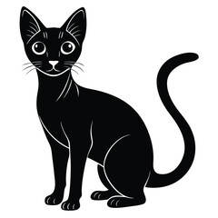 abyssinian vector animal