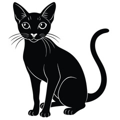 abyssinian vector animal