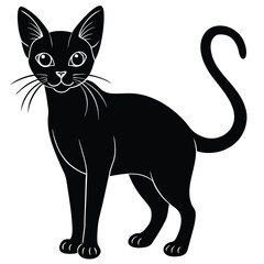 abyssinian vector animal