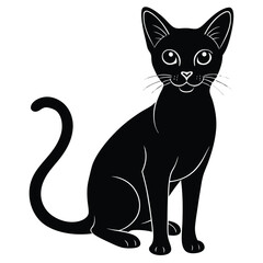 abyssinian vector animal