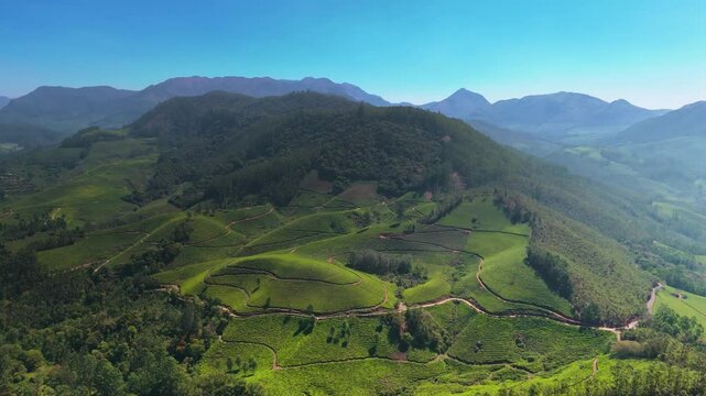 Munnar Tea Garden Drone View Mounatins drone footage landscape