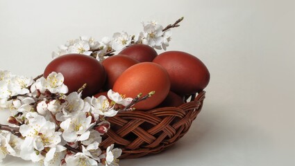 Red Easter eggs. Easter eggs  on white background