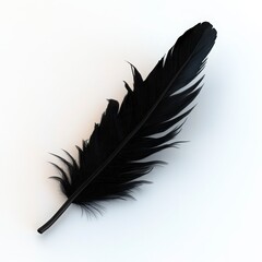 Single Black Feather On White Background Close Up