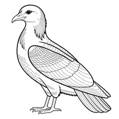 ‎A black and white caw illustration line art of a coloring page