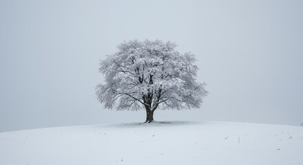 Fototapeta premium Frozen winter tree snow covered landscape