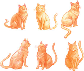 Realistic orange cats situet hand drawing pencil vector illustration set