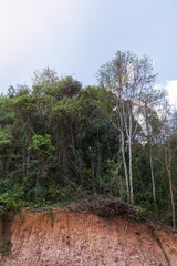 Soil cross-section from excavation and cutting of land for construction of roads on mountains. Destruction of tropical jungle rainforest for construction.