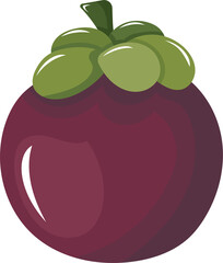 Illustration of a Purple Mangosteen Fruit