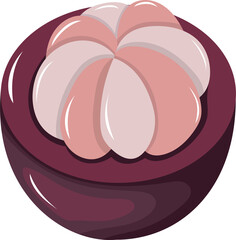 Illustration of Purple Mangosteen Fruit with partially open skin