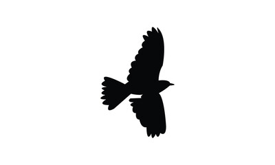 African rock pipit bird Silhouette Design  And Vector Illustration. 