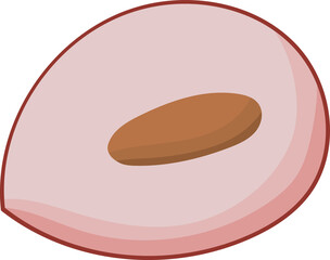 Illustration of a Lychee Fruit with Seed