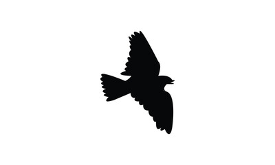 Obraz premium African rock pipit bird Silhouette Design And Vector Illustration. 