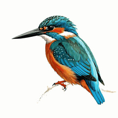 Azure Dive in flow kingfisher isolated watercolor vector illustration svg 
