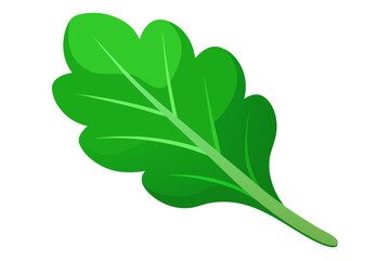 green leaf vector illustration  on white background
