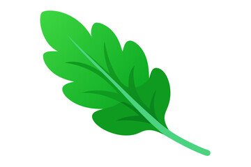 green leaf vector illustration  on white background
