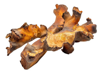 Jerusalem Artichoke Root Topinambur