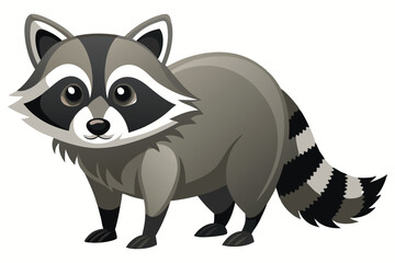 Illustrator of raccoon on white