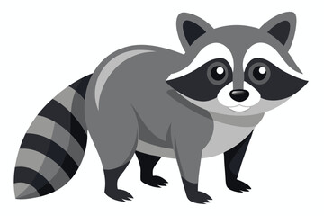Illustrator of raccoon on white
