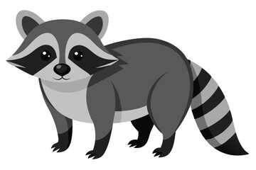 Illustrator of raccoon on white