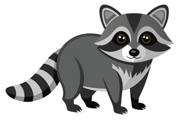 Illustrator of raccoon on white