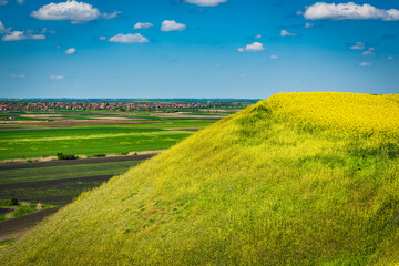 Fototapeta premium landscape with yellow rape field on hill and blue sky