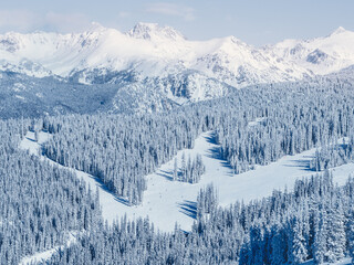 Aerial view of a Snow covered mountain landscape with evergreen trees, Vail, Colorado, USA