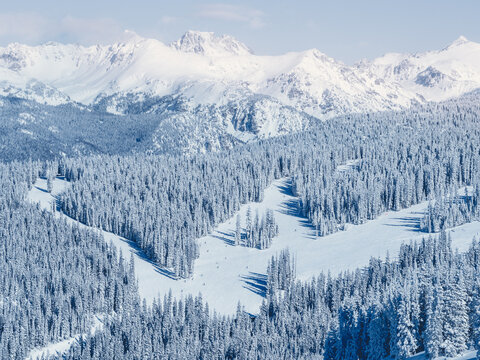 Aerial view of a Snow covered mountain landscape with evergreen trees, Vail, Colorado, USA