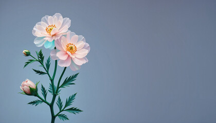 Soft Pink Flowers Blooming Against a Light Gray Background  