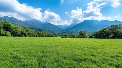 Fototapeta premium Lush green meadow stretches towards distant mountains under a bright blue sky.