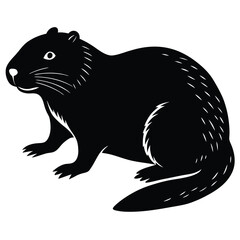 beavre vector