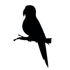 Silhouette vector of parrot on a branch of tree on white background