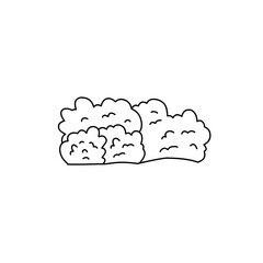hand drawn bush illustration