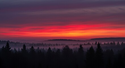 Obraz premium Stunning sunrise over misty forest landscape