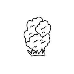 hand drawn bush illustration