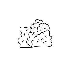 hand drawn bush illustration