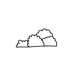 hand drawn bush illustration