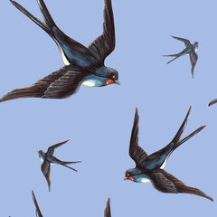Obraz premium Blue spring seamless pattern with swallows birds. Vintage hand drawn watercolor. Perfect for retro wrapping paper, seasonal arrangement, Valentine's day or wedding decoration, sky sign or print