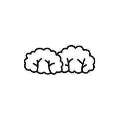 hand drawn bush illustration