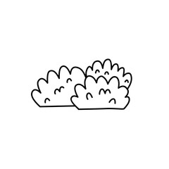 hand drawn bush illustration