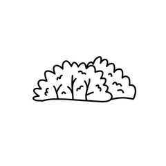 hand drawn bush illustration