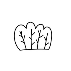 hand drawn bush illustration