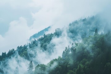 Fototapeta premium A breathtaking view of a mountainside shrouded in low-hanging fog, with the tops of the trees just visible through the mist, Low-hanging fog enveloping the tops of mountains like a blanket