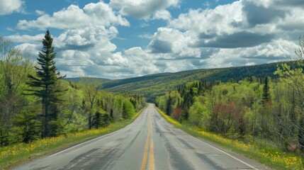 Scenic road lined with blooming trees