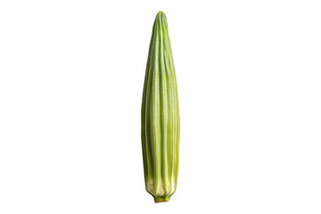 Fresh okra