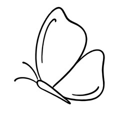Line art butterfly
