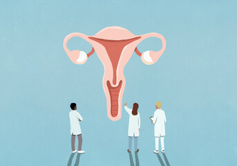 Doctors examining and discussing female reproductive system
